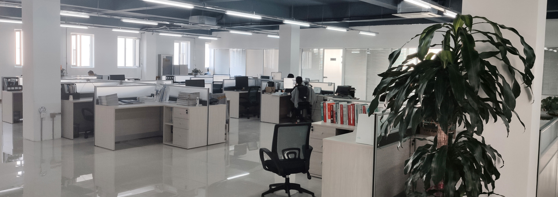 4166全球赢家的信心之选